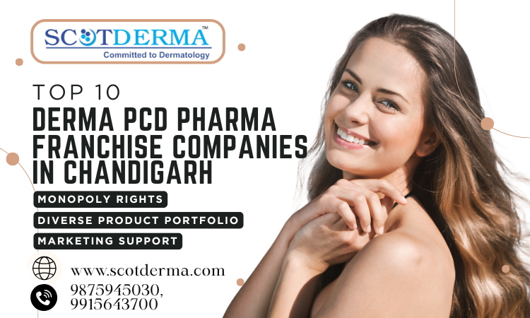 Top 10 Derma PCD Pharma Franchise Companies in Chandigarh