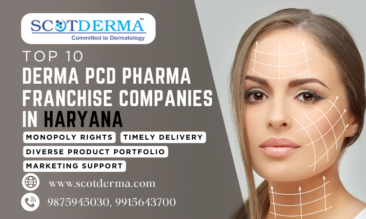 Top 10 Derma PCD Pharma Franchise Companies in Haryana