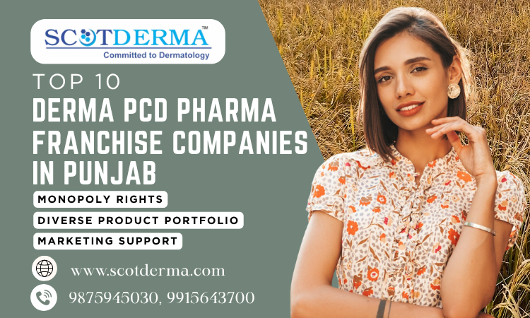 Top 10 Derma PCD Pharma Franchise Companies in Punjab